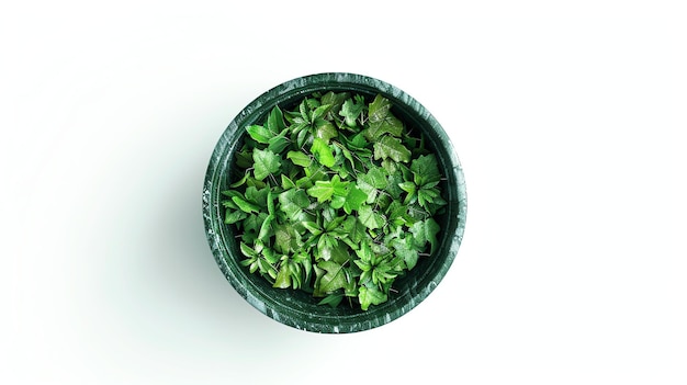 Z góry widok zielonej miski wypełnionej świeżymi zielonymi liśćmi na białym tle Miska jest wykonana z marmuru i ma szorstką teksturę