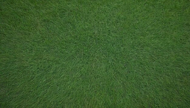 Zdjęcie z góry widok zielonej trawy wypełniającej całą ramę