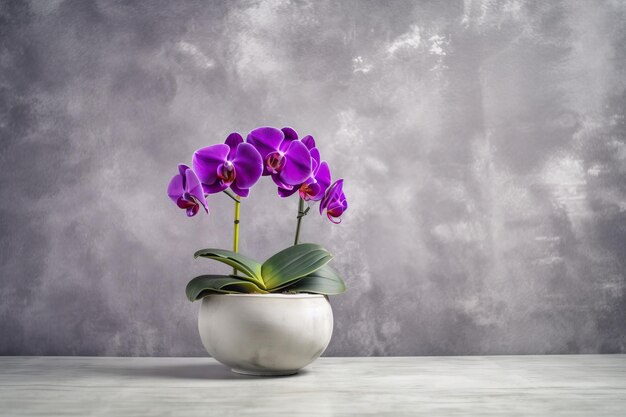 Z miejscem na kopię i sztuczną fioletową orchideą w pojemniku na stole na tle ściany cementowej