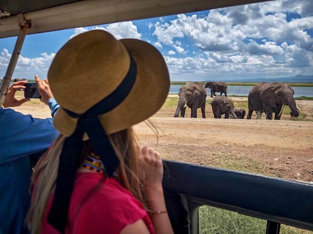 Z tyłu dziewczyna patrząca na słonie pod drzewami z dżipu safari