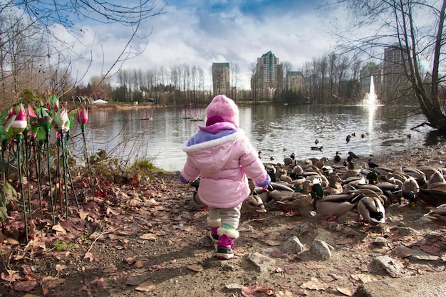 Zdjęcie z tyłu pełna długość dziewczynki przy kaczkach i jeziorze