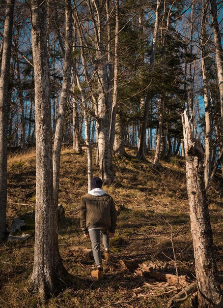 Zdjęcie z tyłu widok człowieka idącego po lesie