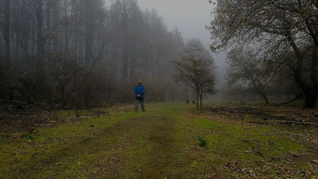 Zdjęcie z tyłu widok człowieka spacerującego z psem w lesie