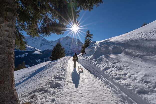 Zdjęcie z tyłu widok kobiety idącej na sankach po pokrytej śniegiem ziemi na tle nieba