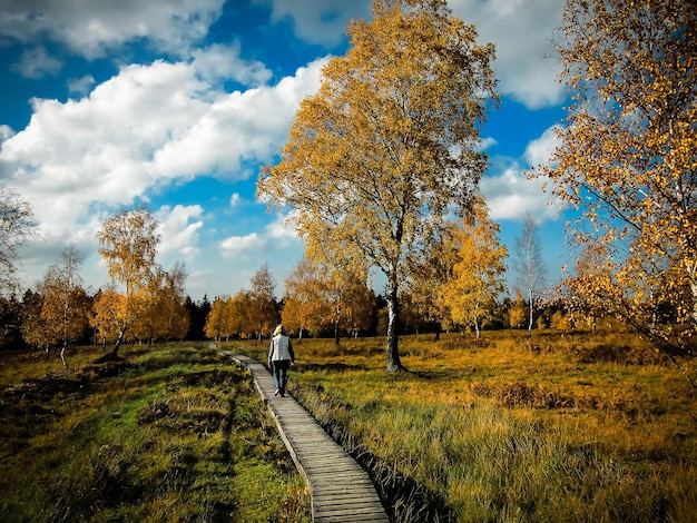 Zdjęcie z tyłu widok kobiety idącej po promenadzie na tle nieba jesienią