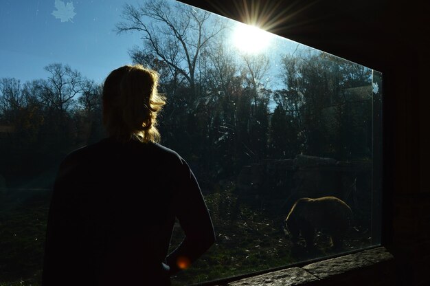 Zdjęcie z tyłu widok kobiety patrzącej na niedźwiedzia grizzly w zoo