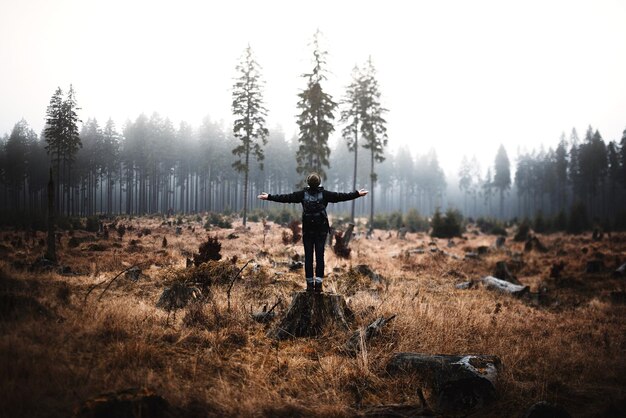 Zdjęcie z tyłu widok kobiety stojącej na pniu drzewa z wyciągniętymi rękami w stronę nieba