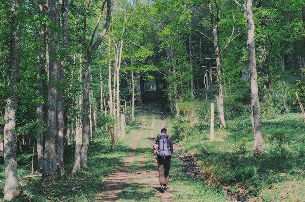 Z tyłu widok mężczyzny z plecakiem idącego po lesie