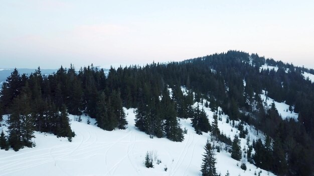 Z wielkich wysokości bajkowy krajobraz górski pokryte śniegiem alpejskie ostre szczyty Dzika zima w Karpatach Ukraina Grube białe chmury Otwarta przestrzeń Antena 4K