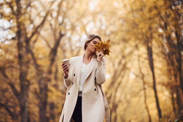 Zdjęcie zabawa z liśćmi. portret młodej brunetki, która jest w jesiennym lesie w ciągu dnia.