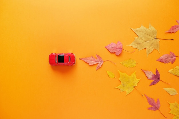 Zabawka czerwony samochód szczęśliwy jesienny liść. Jesień concep