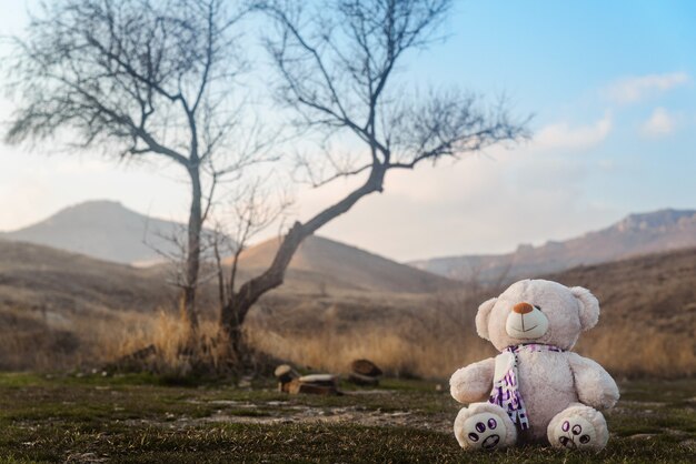 Zabawka pluszowego misia siedzącego pod drzewem w górach