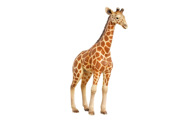 Zabawkowa figurka żyrafy na białym tle