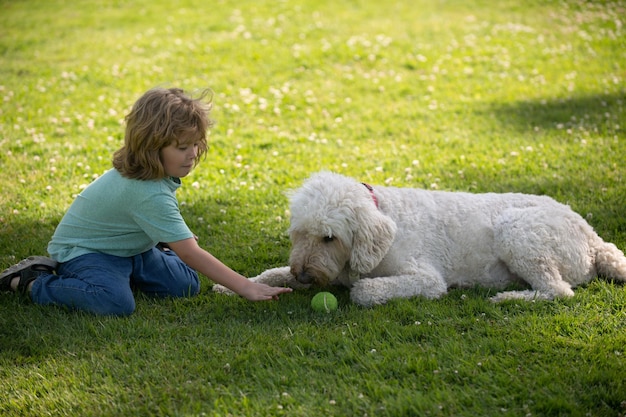 Zabawne dziecko bawiące się z psem w parku Psy bawią się piłką i dziećmi na trawie na świeżym powietrzu