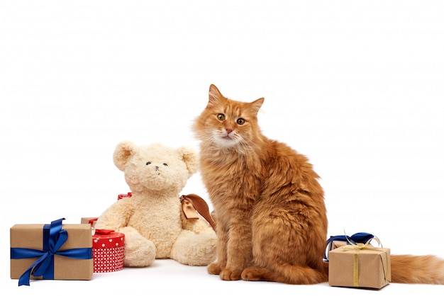 zabawny dorosły rudy kot siedzący pośrodku pudełek owiniętych w brązowy papier i przewiązanych jedwabną wstążką