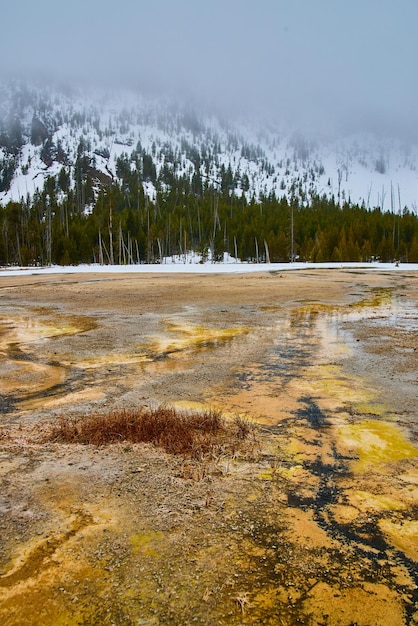 Zabójcze równiny Yellowstone o różnych kolorach z mglistymi i pokrytymi śniegiem wzgórzami w oddali