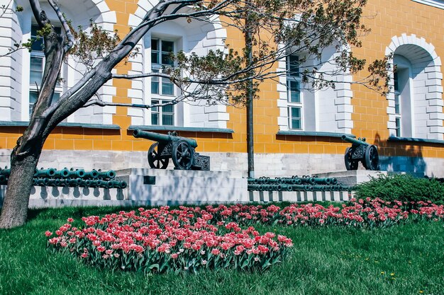 Zabytki przyrody architektura i życie miasta Moskwy