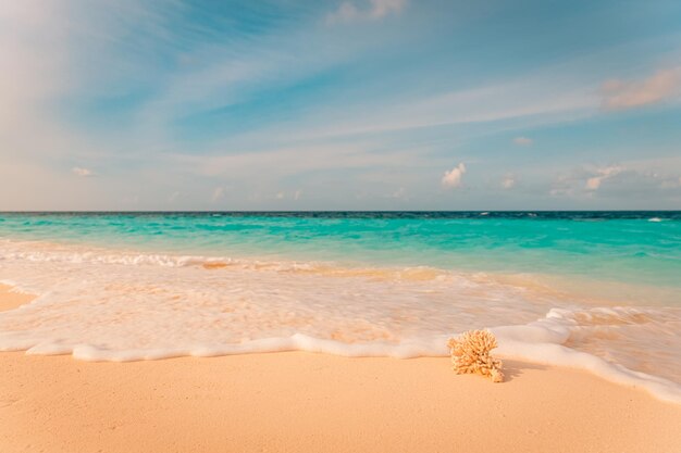 Zachód słońca koral na piaszczystej plaży fale morskie surfować. Idylliczny tropikalny wzór przyrody, letni krajobraz podróży