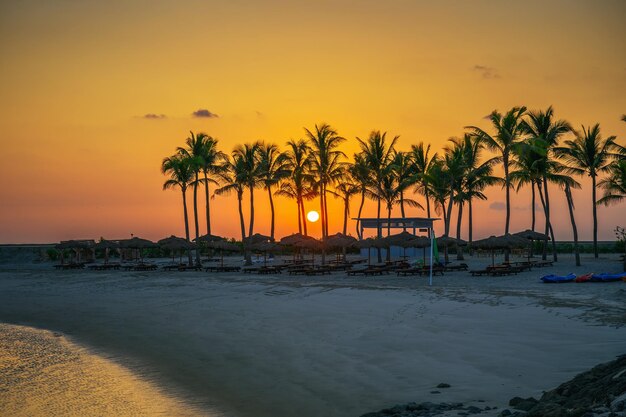 Zachód słońca na plaży Hawana w Salalah Oman z palmami