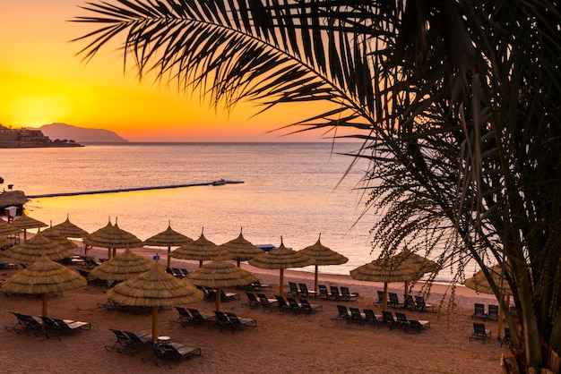 Zachód słońca na plaży z palmowymi parasolami i leżakami