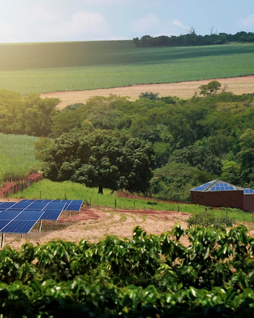 Zachód słońca nad farmą energii słonecznej