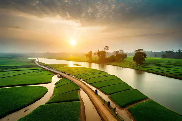 zachód słońca nad polami ryżowymi