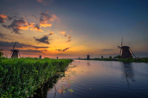 Zachód słońca nad zabytkowymi wiatrakami w Kinderdijk w Holandii