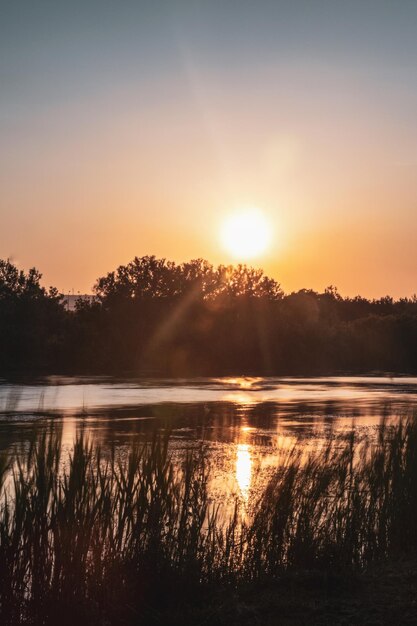 Zachód słońca w jeziorze Tychero Evros północnej Grecji z sylwetką drzewa