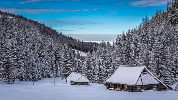Zachód Słońca W Zimowej Dolinie W Tatrach Polska