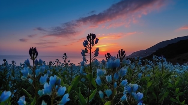 Zachód słońca z niebieskimi kwiatami na pierwszym planie i zachodzeniem słońca za nim.
