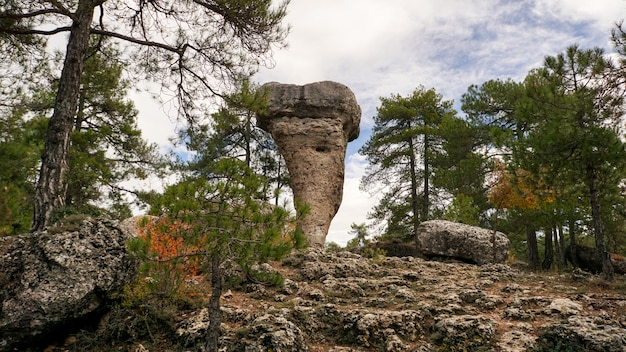 Zaczarowany park naturalny, grupa wapiennych form skał wapiennych w Cuenca, Castilla la Macha, Hiszpania.