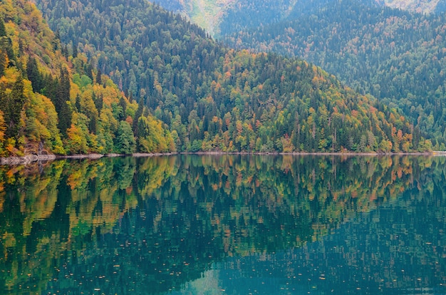 Zadziwiający Natura Krajobrazu Widok Jeziorny Mały Ritsa