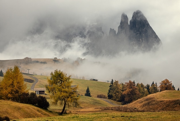 Zadziwiający Widok Przy Mgła Rankiem W Alpe Di Siusi Włoskich Dolomitach, Południowy Tyrol