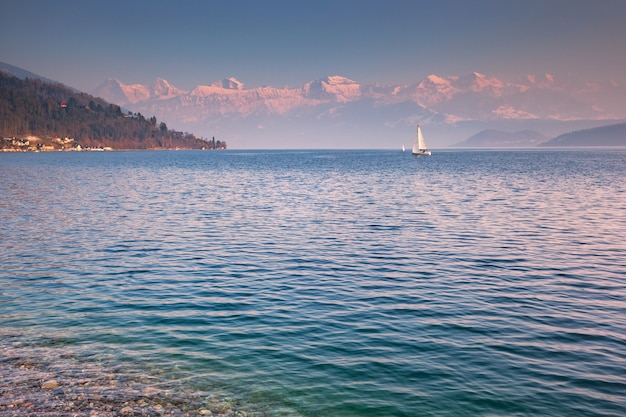 Zdjęcie Żaglowiec na jeziorze thun, oberland berneński, szwajcaria