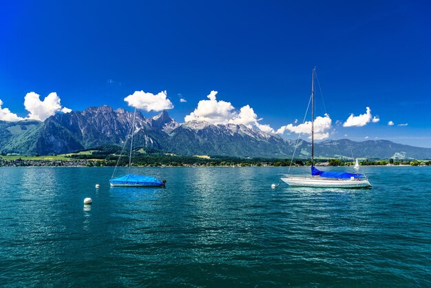 Żaglówki w jeziorze Thun Thunersee Berno Szwajcaria