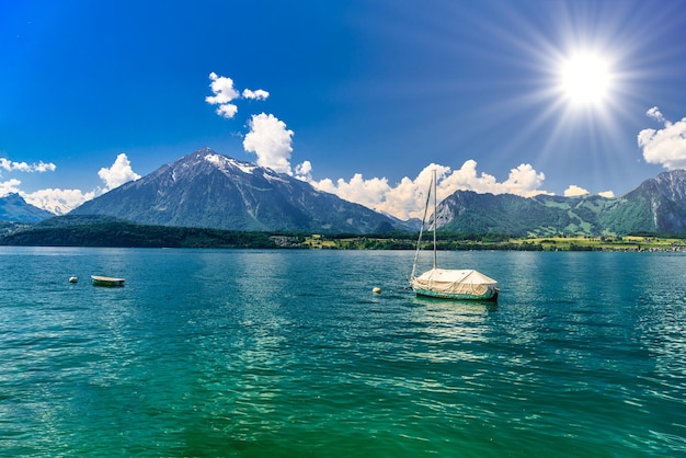 Żaglówki w jeziorze Thun Thunersee Berno Szwajcaria