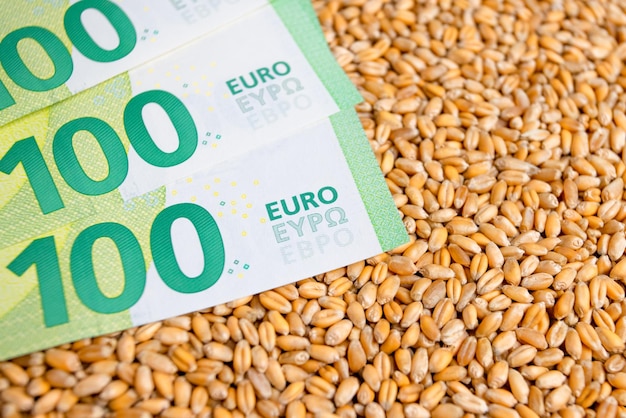 Zakaz eksportu waluty i ziarna pszenicy embargo na dostawy pszenicy i mąki do europy azji i afryki