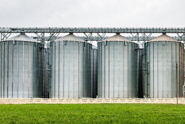 Zakład agroprzetwórczy i produkcyjny do przetwórstwa i silosy srebrne do suszenia czyszczenie i przechowywanie produktów rolnych mąka zboża i zboża Elewator spichlerzy