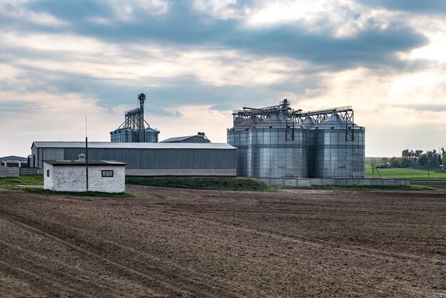 Zakład agroprzetwórczy i produkcyjny do przetwórstwa i silosy srebrne do suszenia czyszczenie i przechowywanie produktów rolnych mąka zboża i zboża Elewator spichlerzy