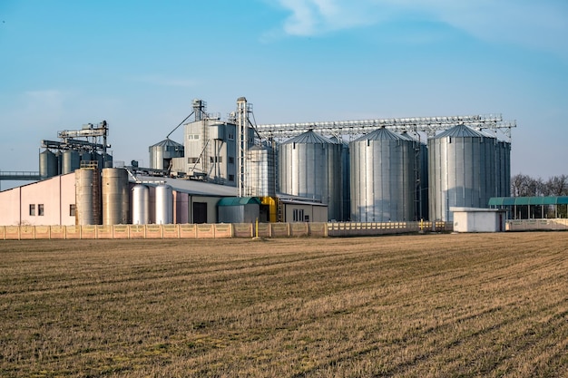 Zakład agroprzetwórczy i produkcyjny do przetwórstwa i silosy srebrne do suszenia czyszczenie i przechowywanie produktów rolnych mąka zboża i zboża Elewator spichlerzy