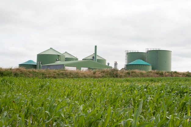 Zakład biogasowy do wytwarzania energii elektrycznej i energii