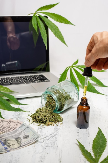Zakraplacz oleju konopnego upuszczający kroplę butelki z suszonymi ziołami rozpryskującą się wokół i banknotów dolarowych przed laptopem z liśćmi marihuany na białym tle