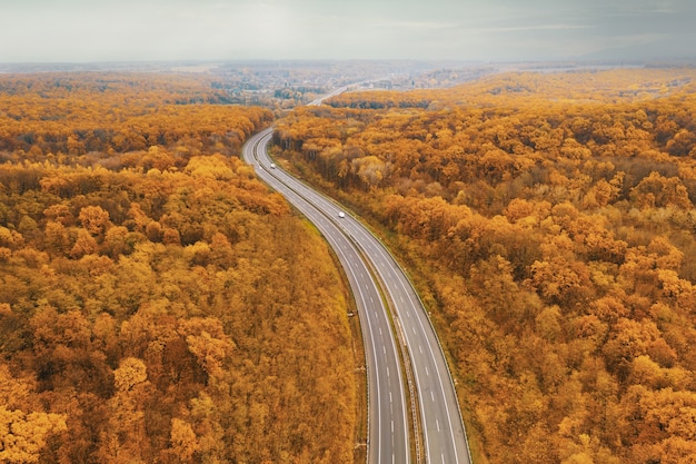 Zakrzywiona autostrada zwrócona w stronę horyzontu pośród żółtego jesiennego lasu - z perspektywy atmosferycznej