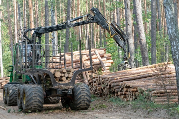 Załadunek kłód na przyczepę ciężarówki za pomocą ładowacza traktorowego z żurawiem chwytakowym Transport kłód iglastych do tartaku Wylesianie i eksploatacja przyrody Wycinka drzew