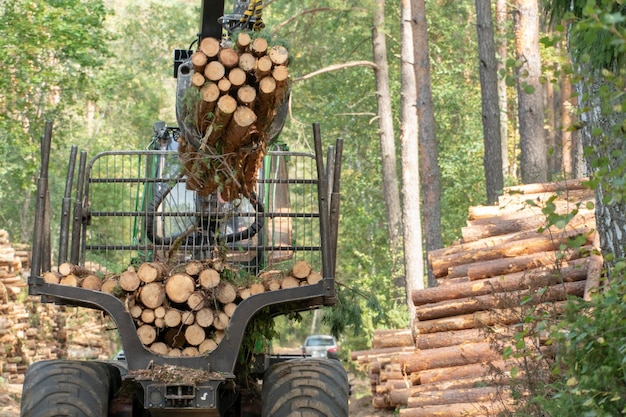 Zdjęcie załadunek kłód na przyczepę ciężarówki za pomocą ładowacza traktorowego z żurawiem chwytakowym transport kłód iglastych do tartaku wylesianie i eksploatacja przyrody wycinka drzew