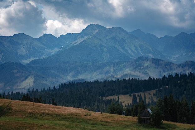 Zalesione zbocze góry w nisko leżącej chmurze z wiecznie zielonymi drzewami iglastymi spowitymi mgłą w malowniczym krajobrazie Tatry Polska