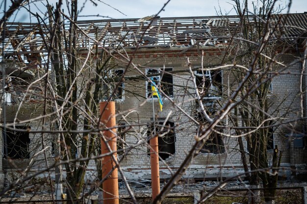 Zdjęcie zalyman charkowski obwód ukraina 03252023