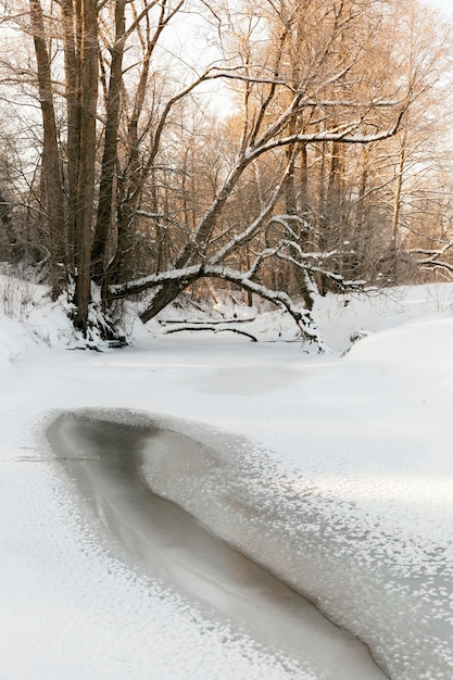 Zamarznięta zimą rzeka, tafla rzeki i drzewa pokryte są śniegiem