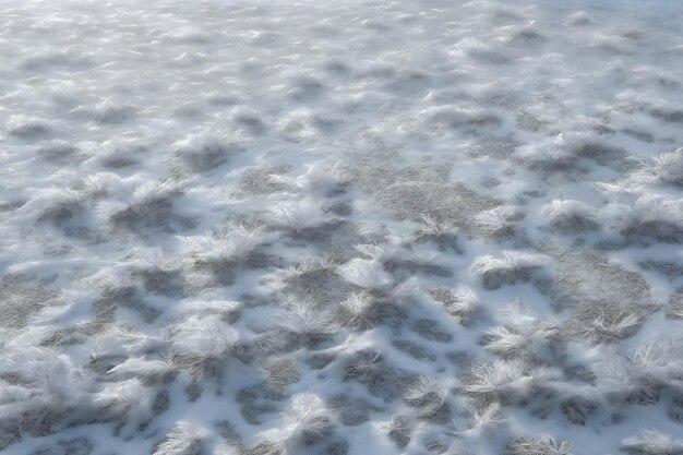 Zamarznięte bagno z kępami pokryte jest mrozem i śniegiem