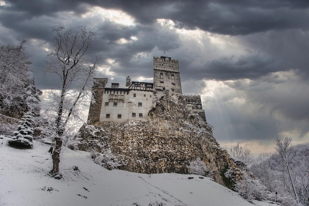 Zamek Bran, położony w Transylwanii, Romania.Medieval Zamek Z Snowy Tle. podróże